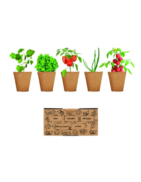 Kit de cultivo de verduras 7MO6499