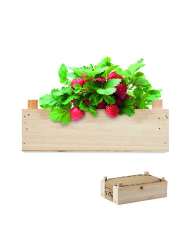 Kit de fresas en caja madera 7MO6506