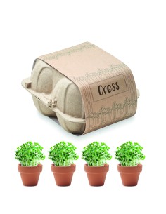 Kit de cultivo en huevera 7MO6886