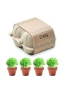 Kit de cultivo en huevera Personalizado 7MO6886 - Imagen 3