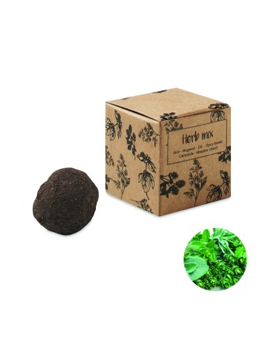 Kit de semillas de hierbas 7MO6910