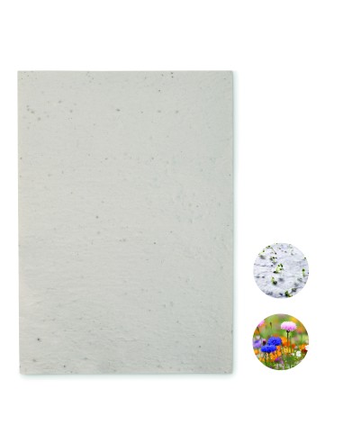 Hoja A4 de papel con semillas 7MO6914