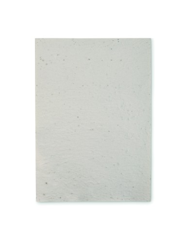 Hoja A4 de papel con semillas 7MO6914