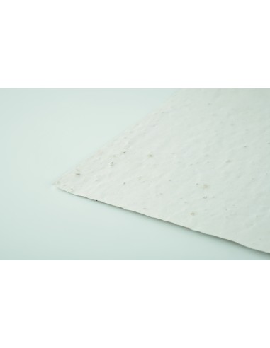 Hoja A4 de papel con semillas 7MO6914