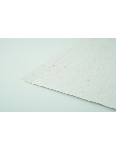 Hoja A4 de papel con semillas 7MO6914