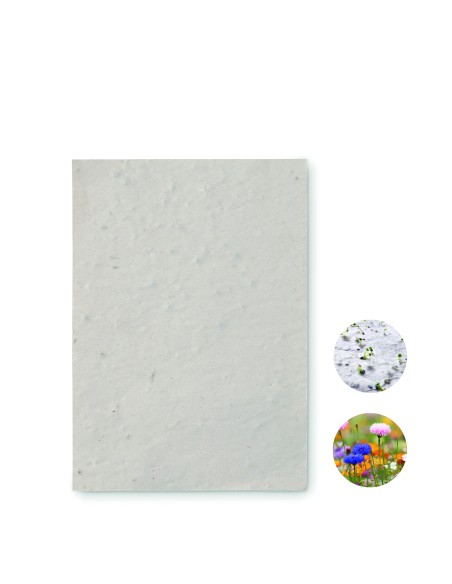 Hoja A6 de papel con semillas 7MO6916