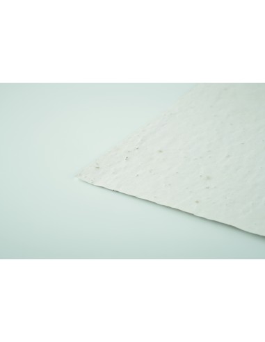 Hoja A6 de papel con semillas 7MO6916