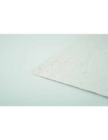 Hoja A6 de papel con semillas 7MO6916