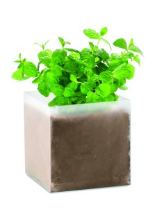 Bolsa semillas de menta 7MO9546