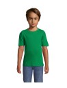 REGENT CAMISETA NIÑO 150g Personalizada 7S11970 - Imagen 36