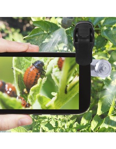 Microscopio Personalizado 85134