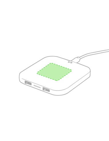 Cargador Personalizado 85764