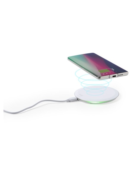 Cargador Personalizado 86520