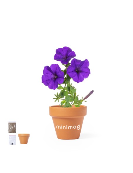 Maceta Personalizada 86791