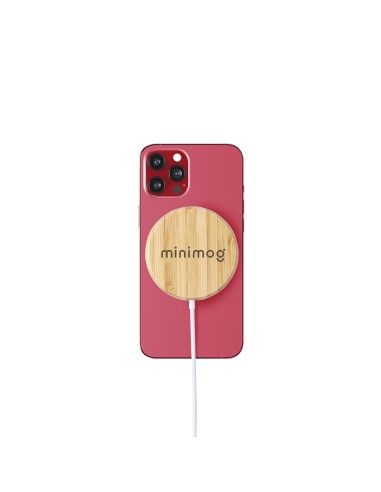 Cargador Personalizado 86895