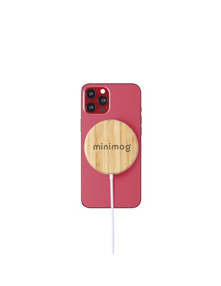 Cargador Personalizado 86895