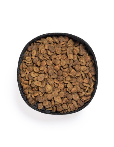 Bowl Plegable Personalizado 81012