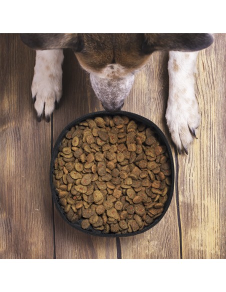 Bowl Plegable Personalizado 81012