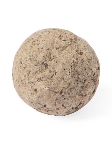 Bombón Semillas Personalizado 82640