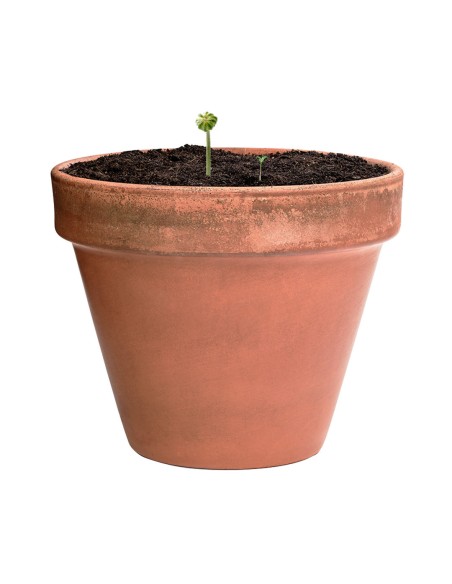 Bombón Semillas Personalizado 82640