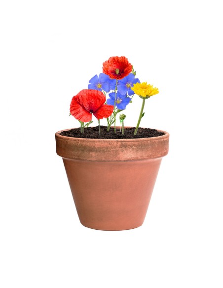 Bombón Semillas Personalizado 82640