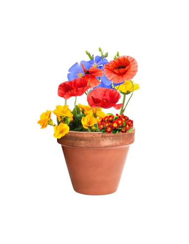 Bombón Semillas Personalizado 82640