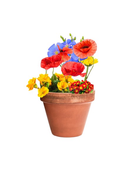 Bombón Semillas Personalizado 82640