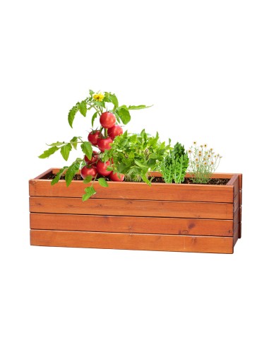 Kit Personalizado 82641