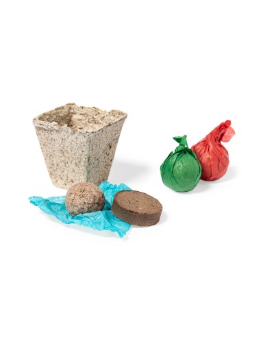 Kit Huerto Personalizado 82673