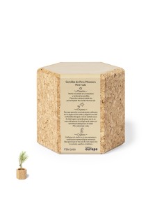 Maceta Personalizada 82690