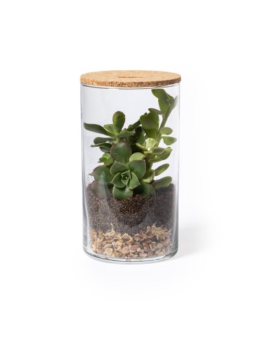 Terrarium Personalizado 82692