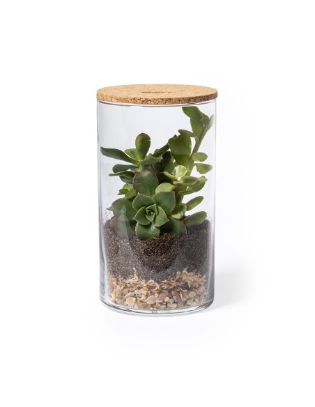 Terrarium Personalizado 82692