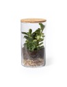 Terrarium Personalizado 82692 - Imagen 3