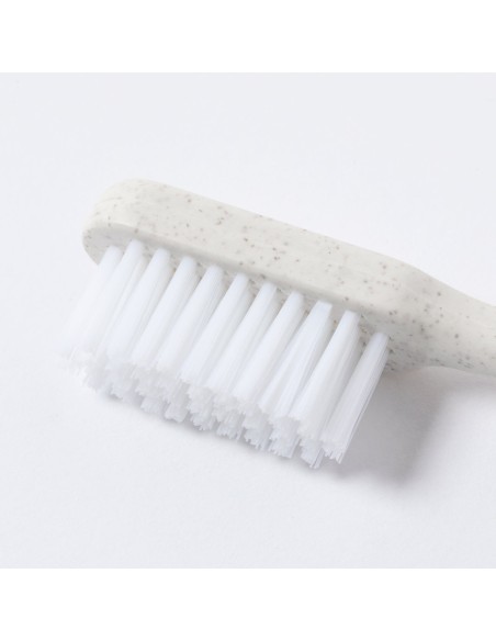 Cepillo Dientes Personalizado 81639