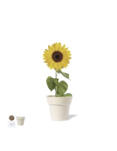 Maceta Personalizada 81929