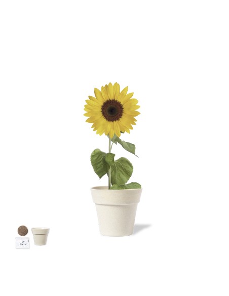 Maceta Personalizada 81929