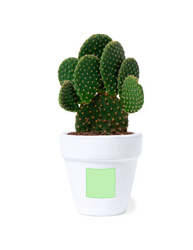 Maceta Personalizada 81931