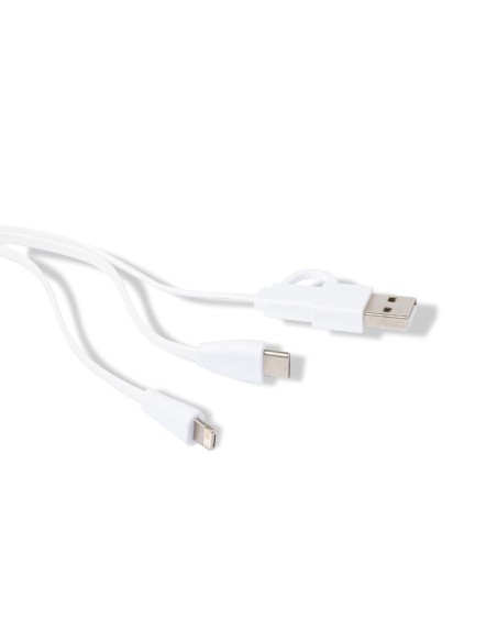 Cable Cargador Personalizado 81979