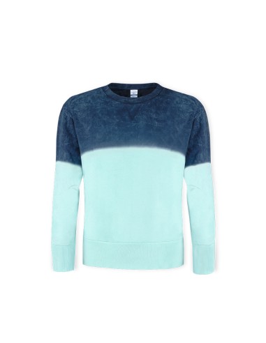 Sudadera Adulto Personalizado 8013