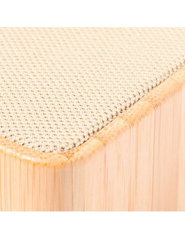 Altavoz Personalizado 820262