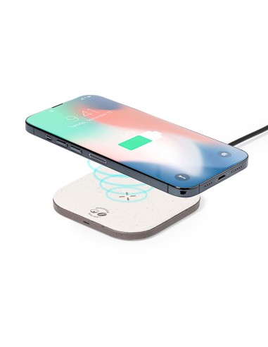 Cargador Personalizado 820278