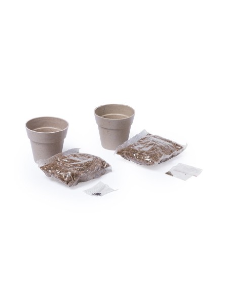 Set Macetas Personalizado 85113