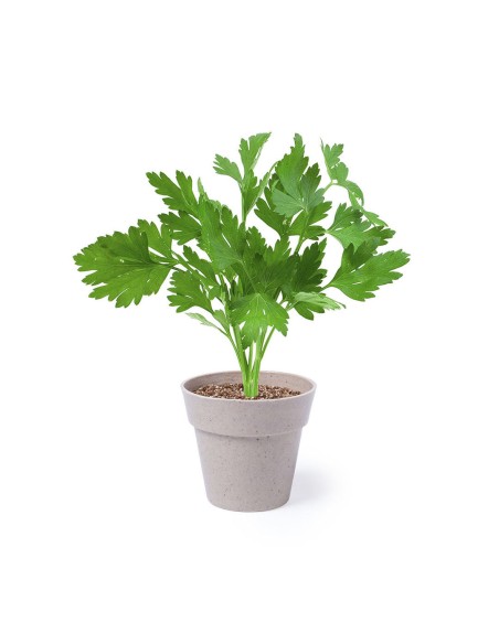 Set Macetas Personalizado 85113