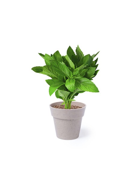 Set Macetas Personalizado 85113