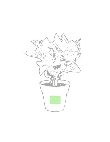 Set Macetas Personalizado 85113