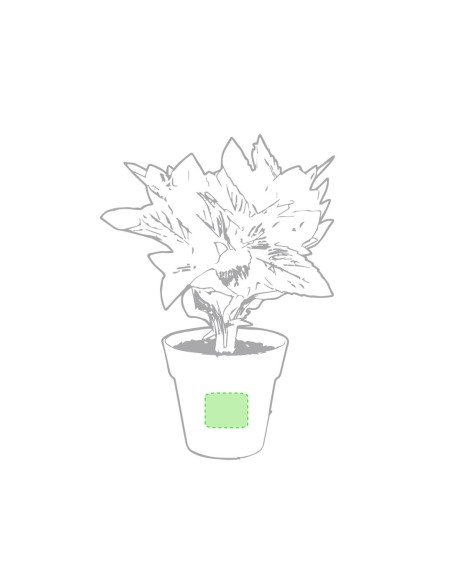 Set Macetas Personalizado 85113