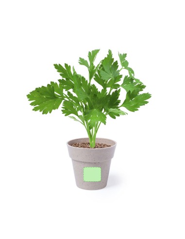 Set Macetas Personalizado 85113