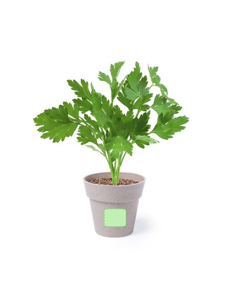 Set Macetas Personalizado 85113