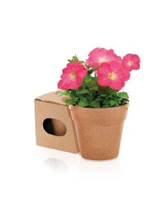 Maceta Biodegradable con Semillas de Petunia | Goodie