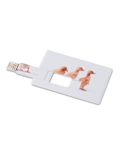 Creditcard. USB flash 4GB 7MO1059a